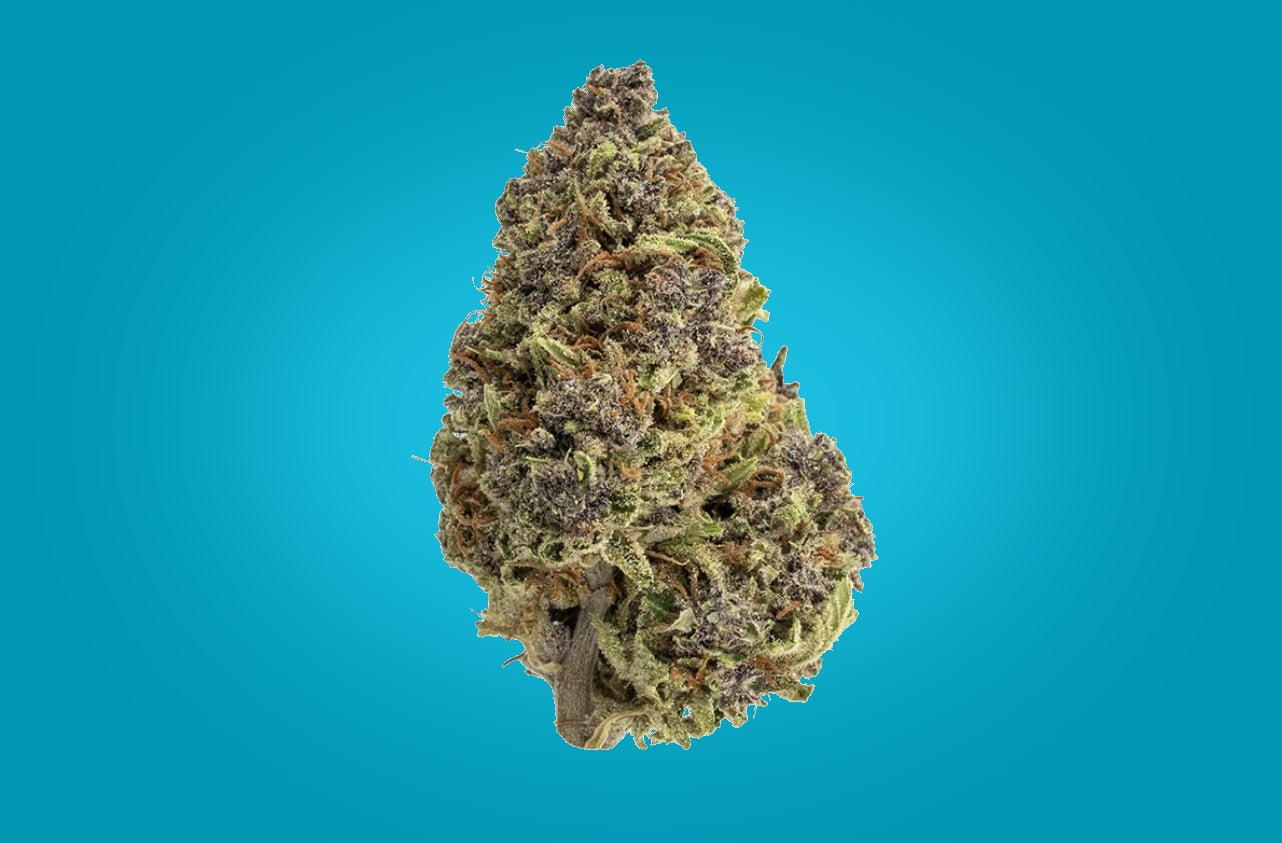 Jungle Cake