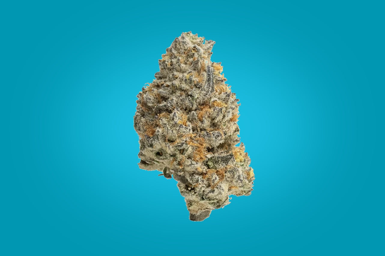 Bunch of dried cannabis on a white background
