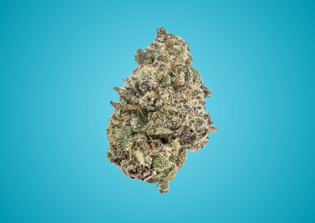 Close-up of a cannabis bud on a white background