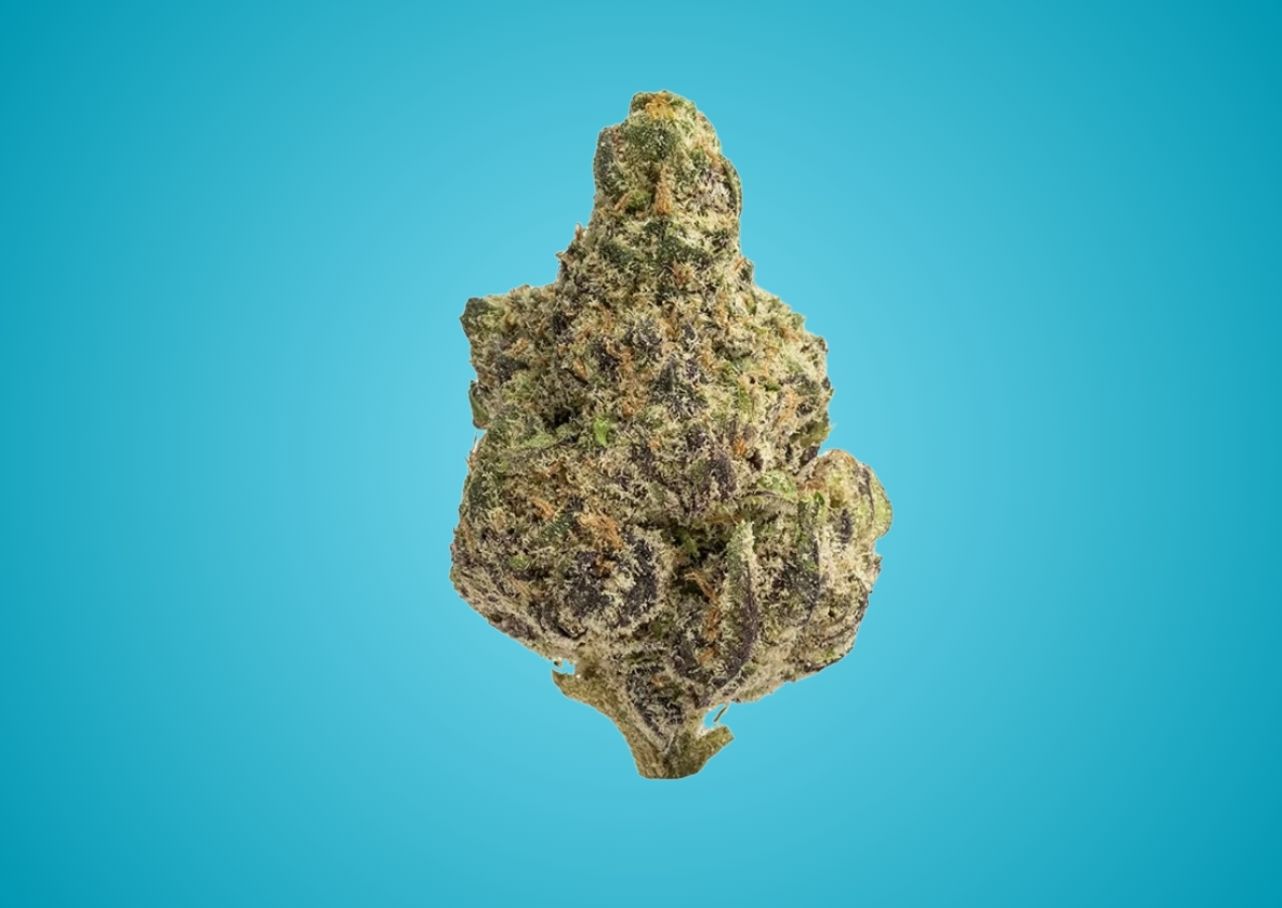 Glacier Glue